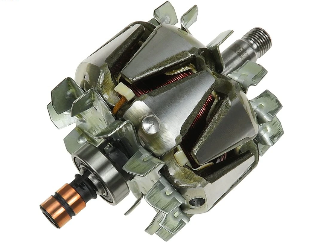 Rotor, alternator