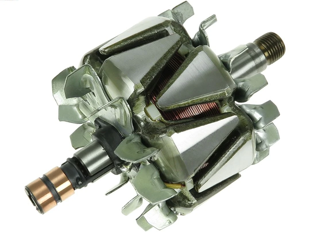 Rotor, alternator