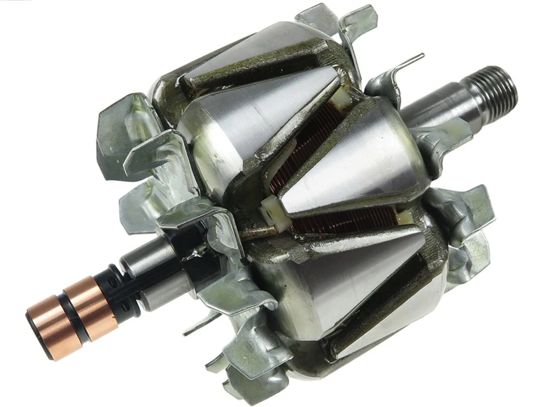 Rotor, alternator