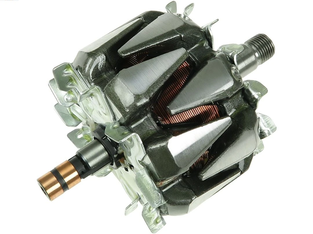 Rotor, alternator