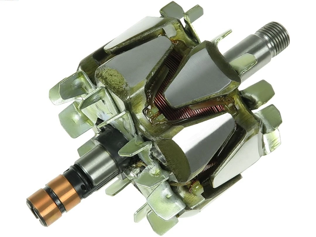 Rotor, alternator