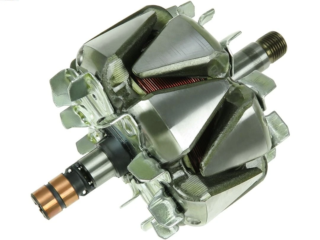 Rotor, alternator