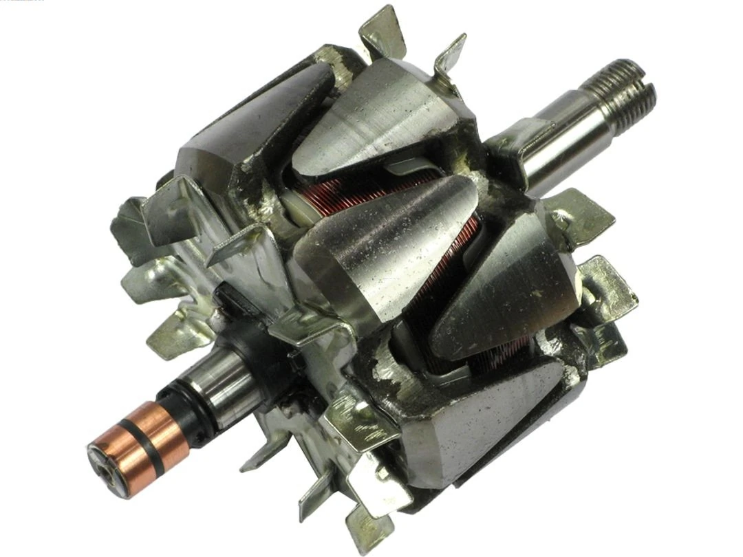 Rotor, alternator