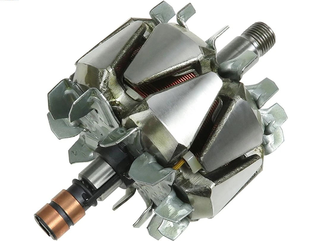 Rotor, alternator