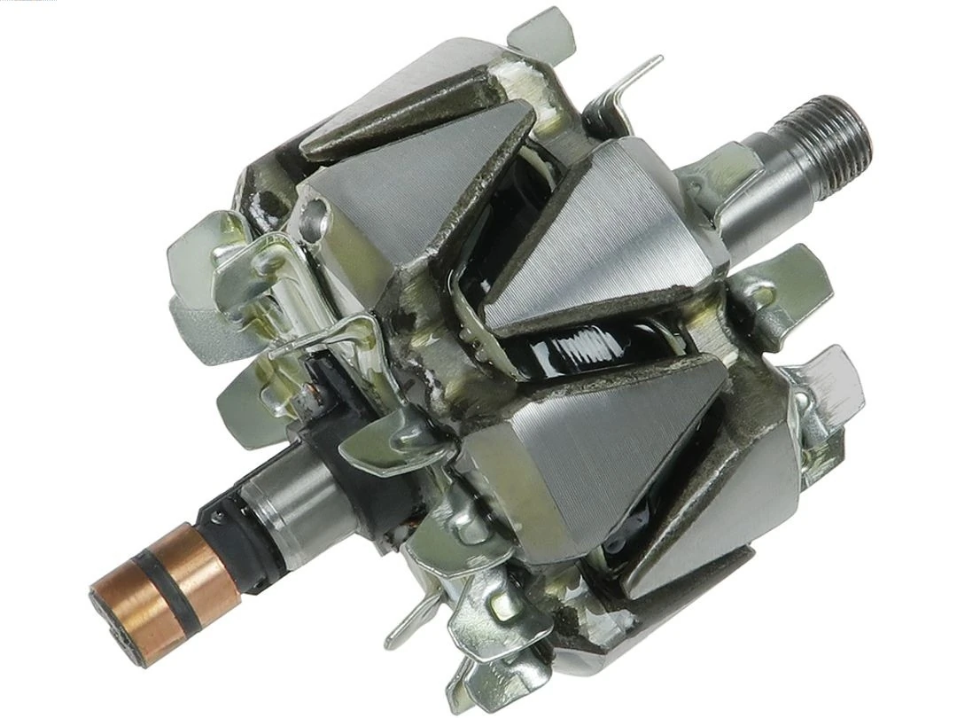 Rotor, alternator