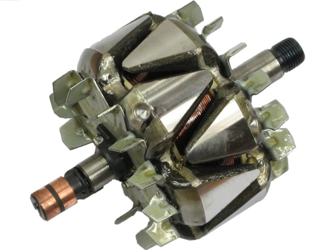 Rotor, alternator