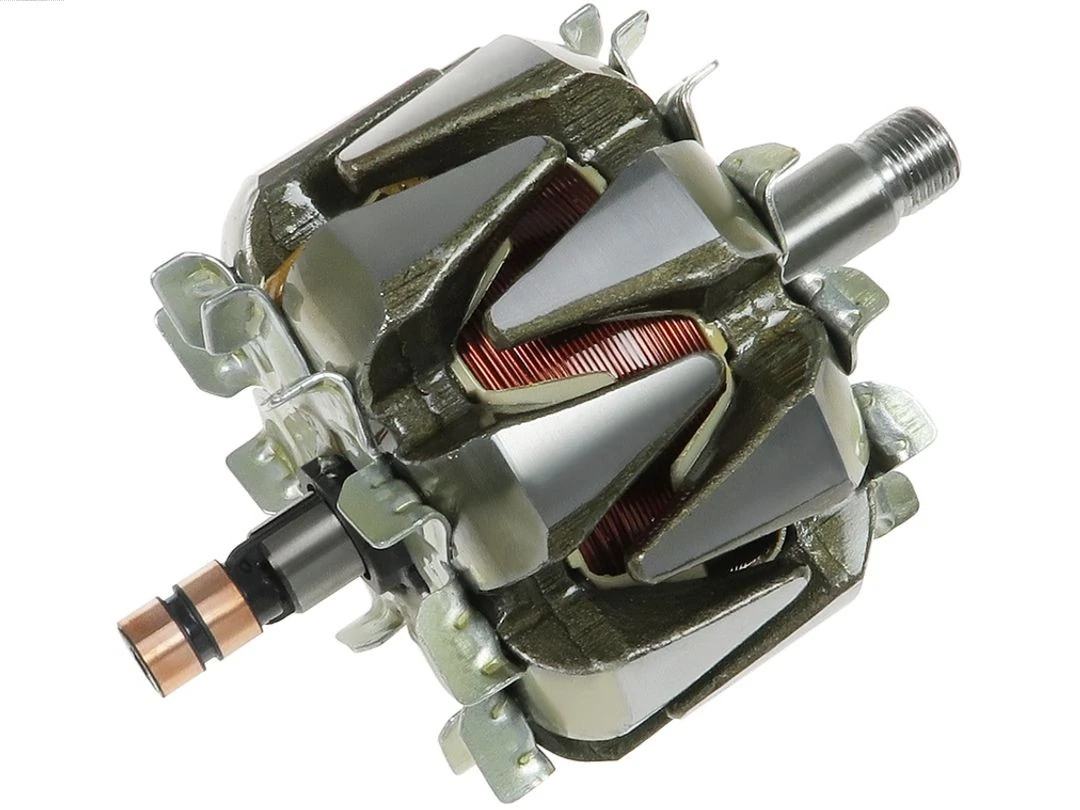 Rotor, alternator