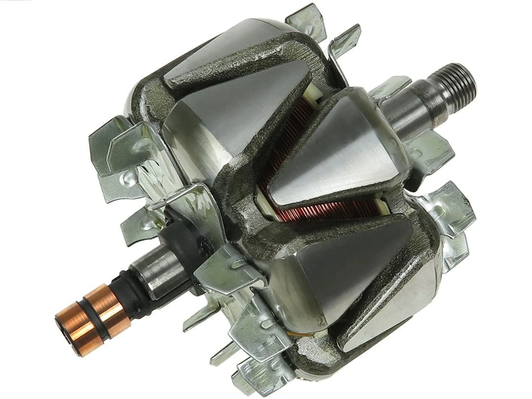 Rotor, alternator