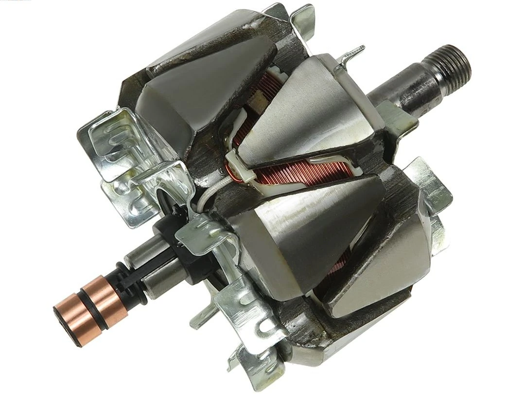 Rotor, alternator