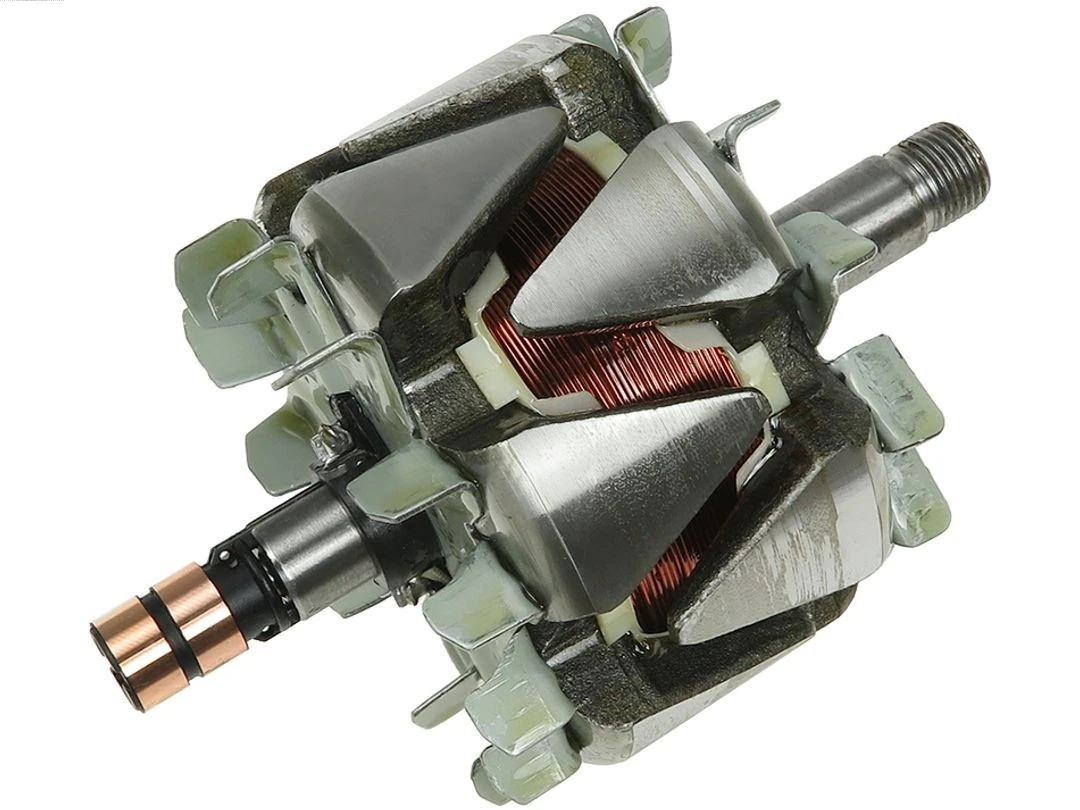 Rotor, alternator