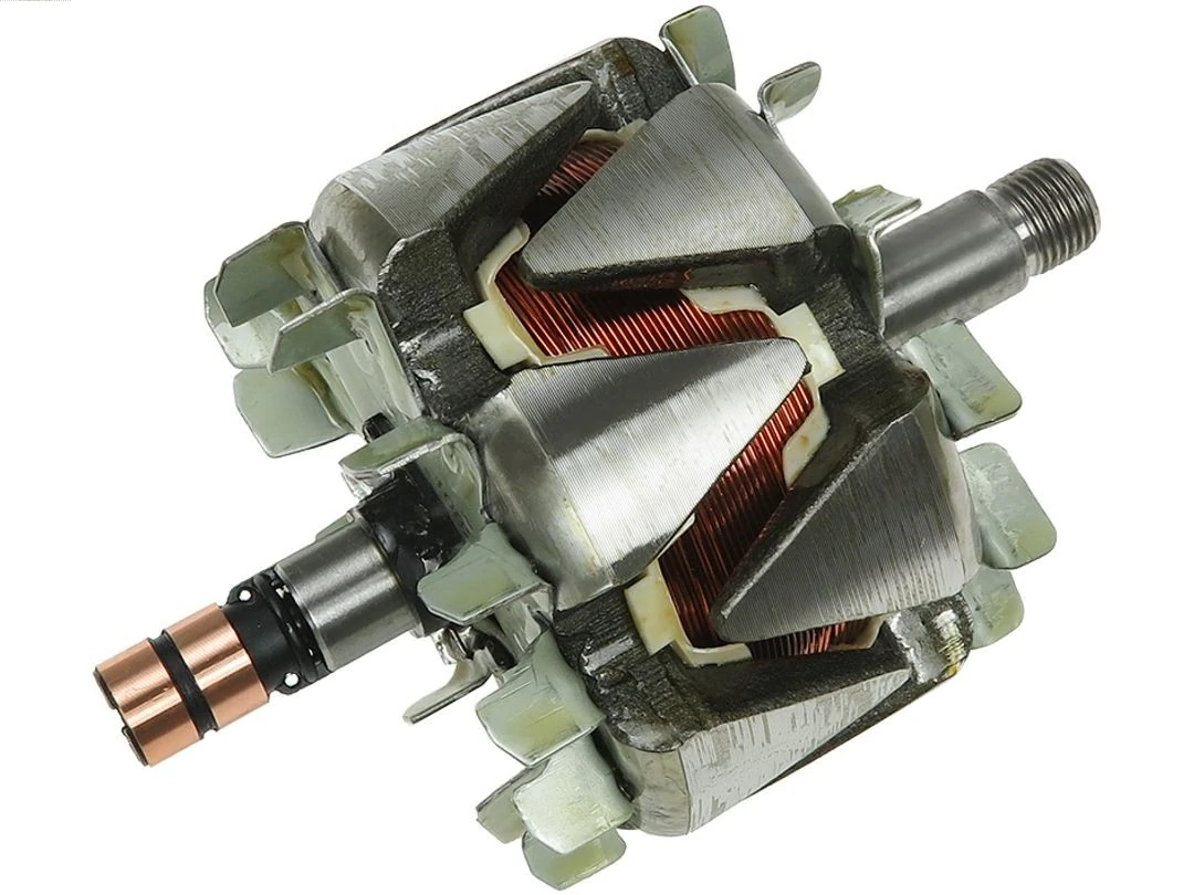 Rotor, alternator