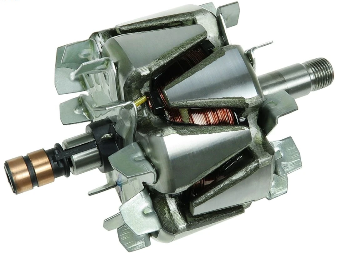 Rotor, alternator