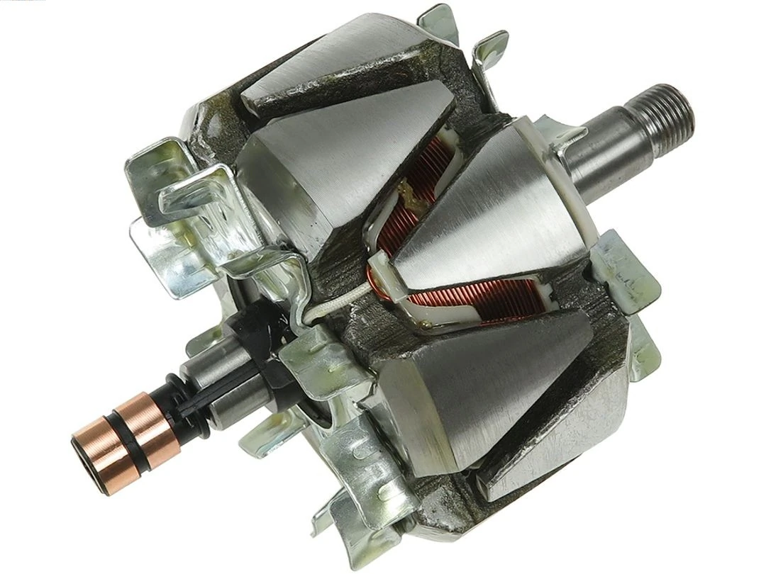 Rotor, alternator