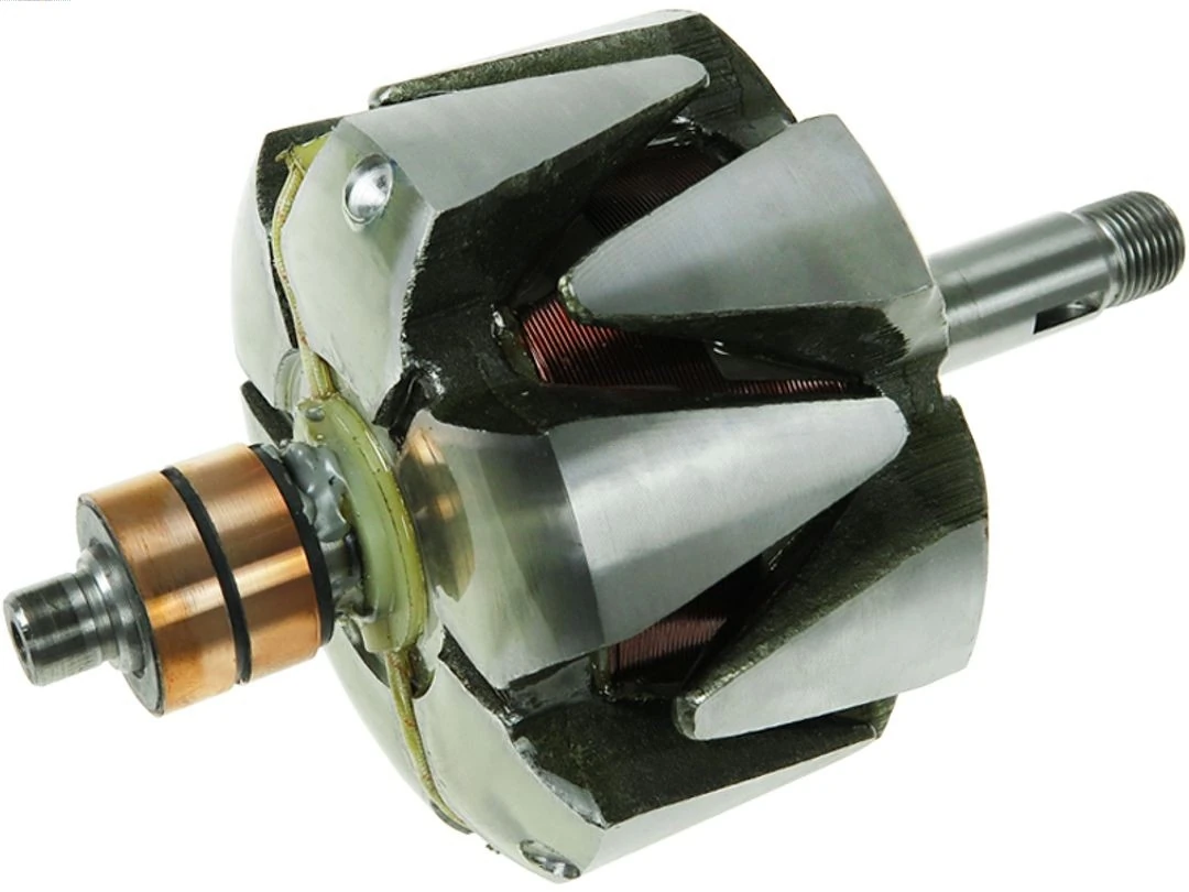 Rotor, alternator