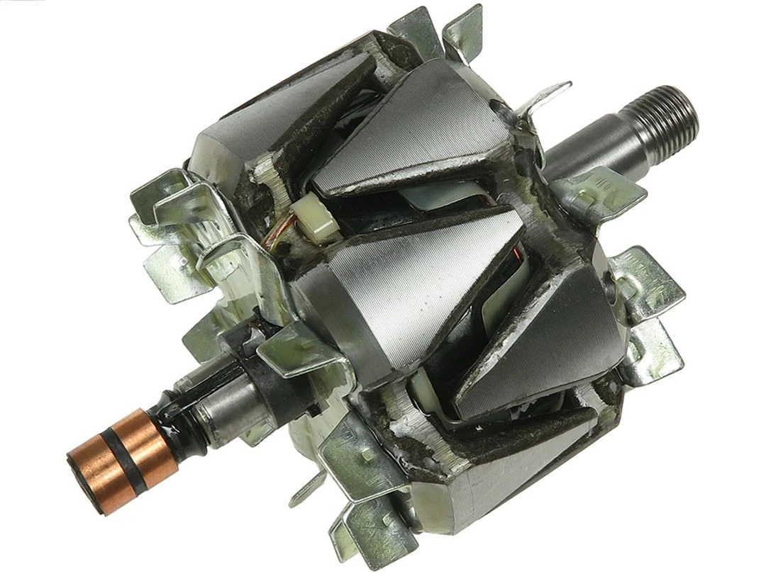 Rotor, alternator