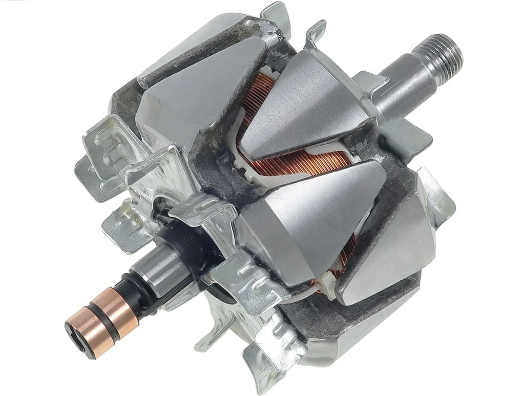Rotor, alternator
