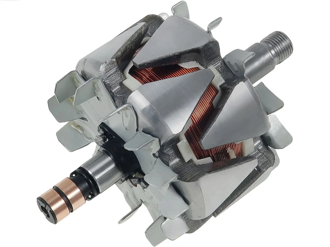 Rotor, alternator