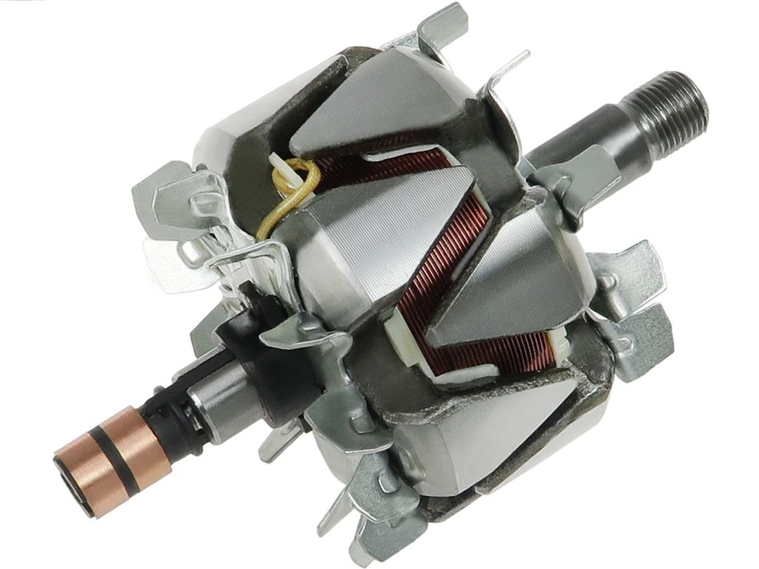 Rotor, alternator