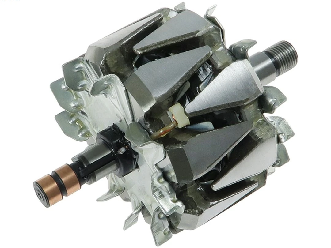 Rotor, alternator