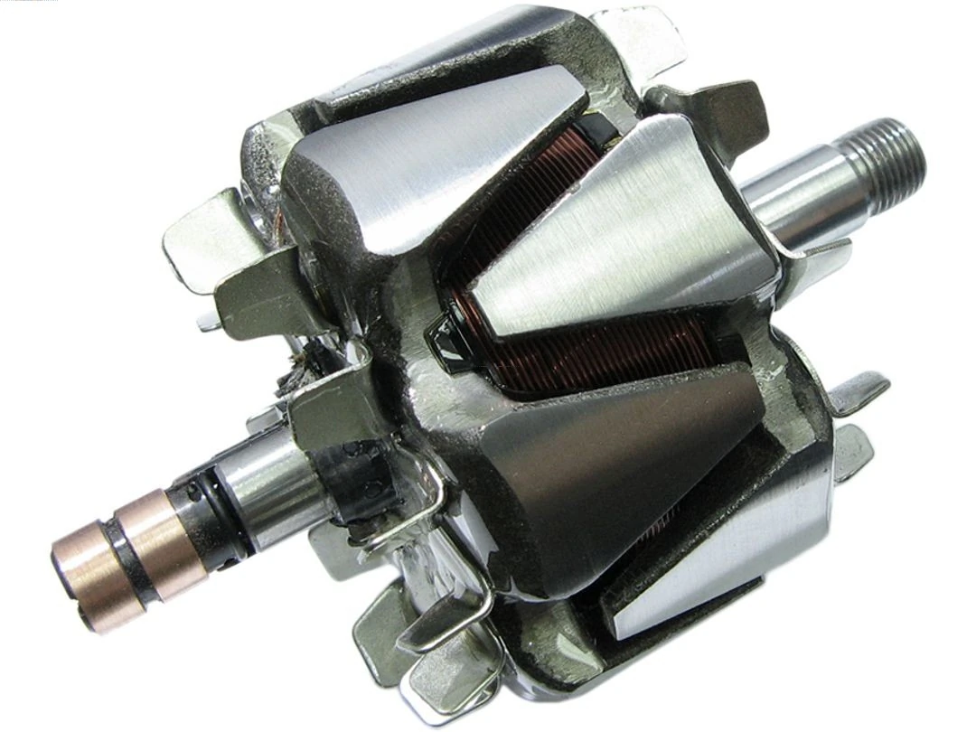 Rotor, alternator