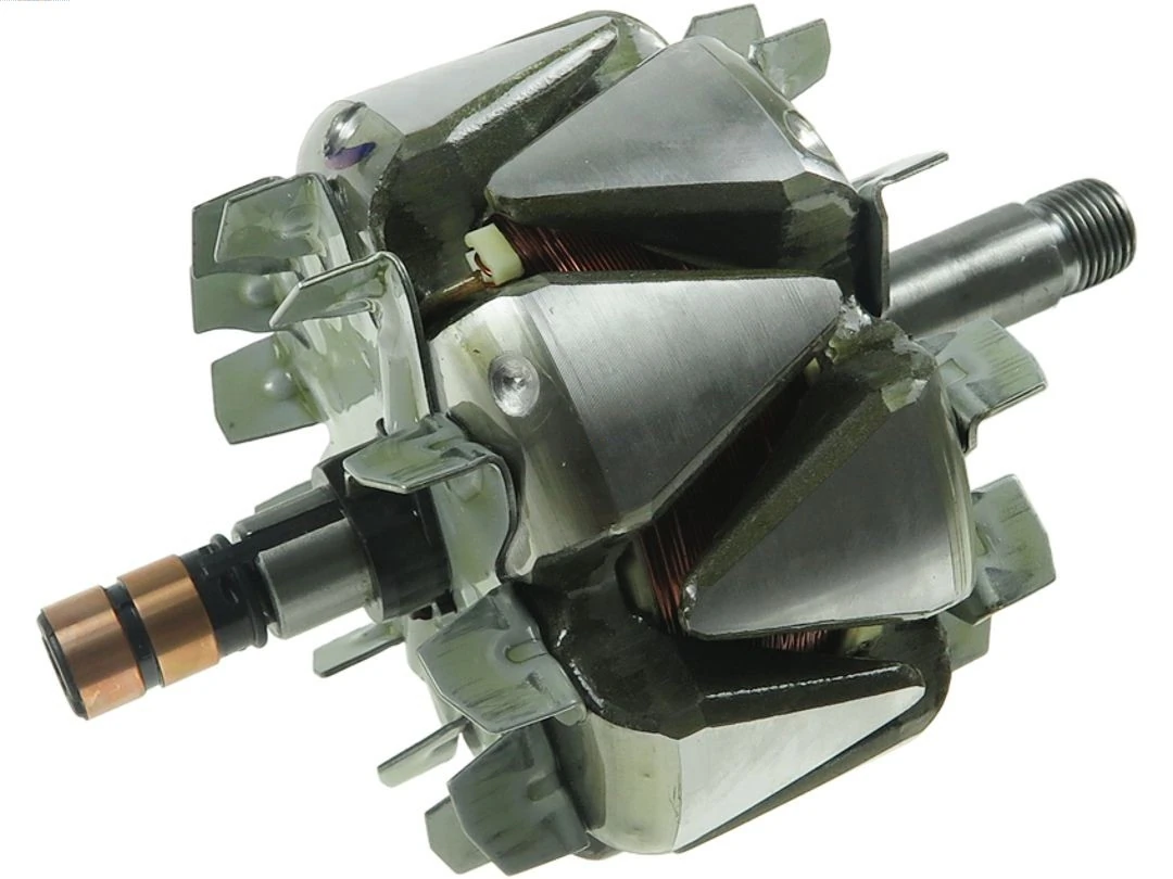 Rotor, alternator