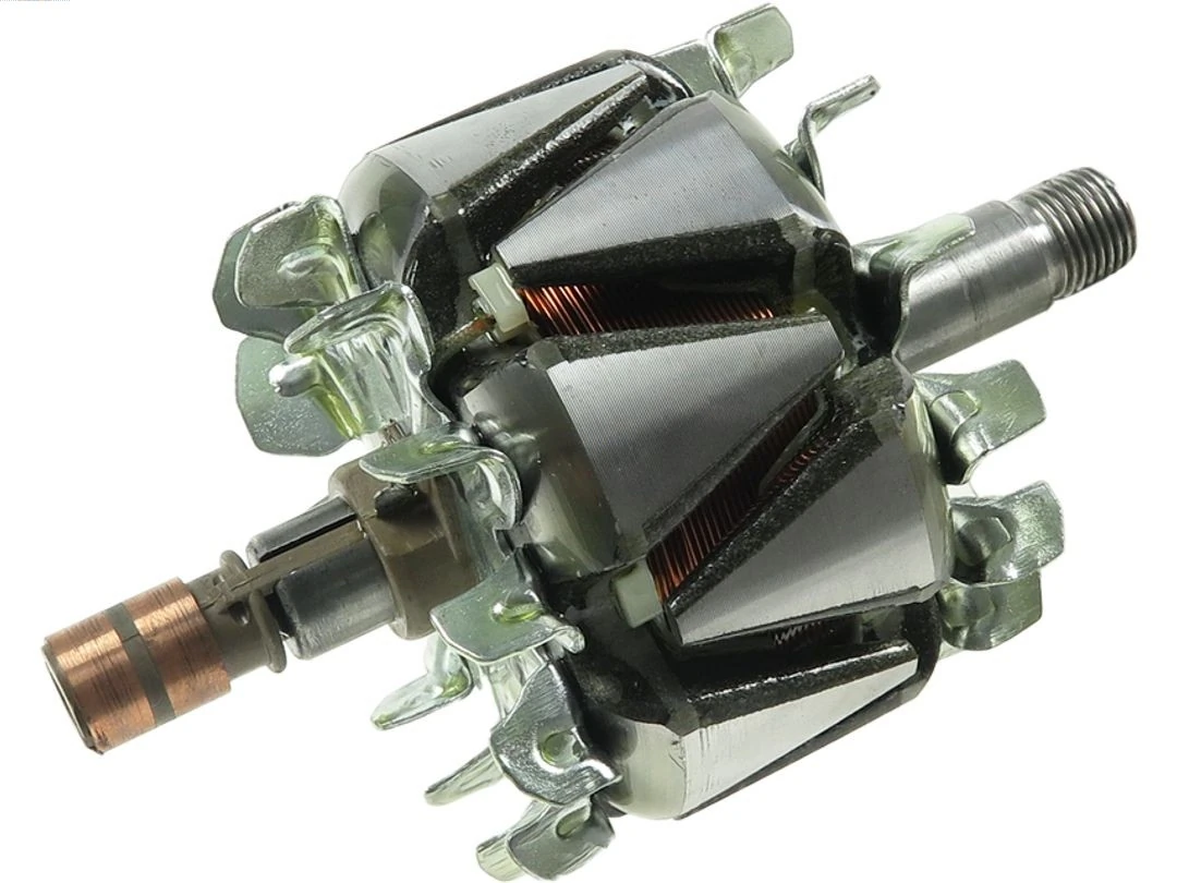 Rotor, alternator