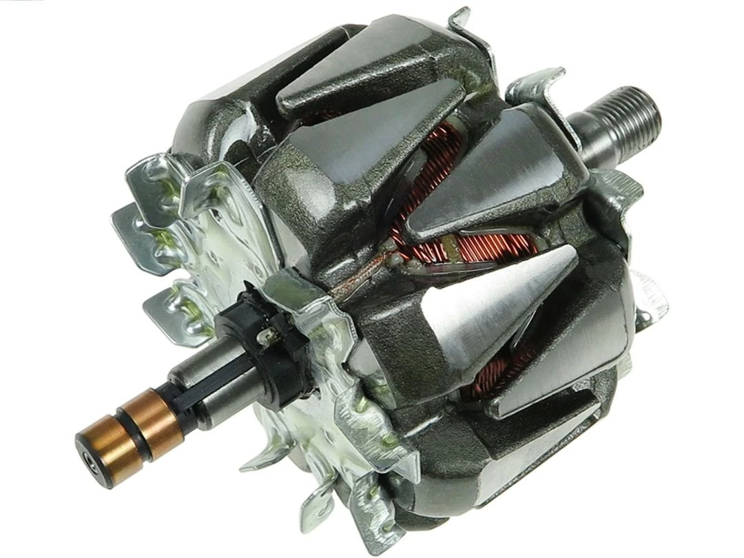 Rotor, alternator