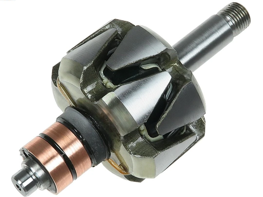 Rotor, alternator