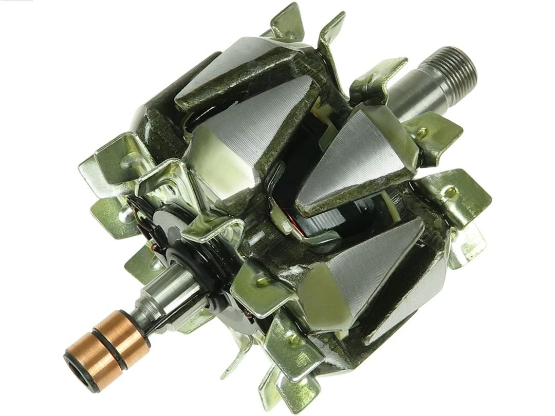 Rotor, alternator
