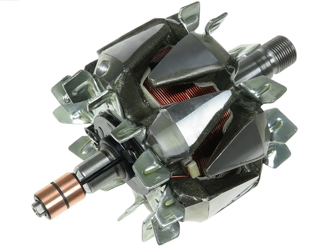 Rotor, alternator