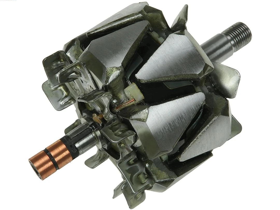 Rotor, alternator