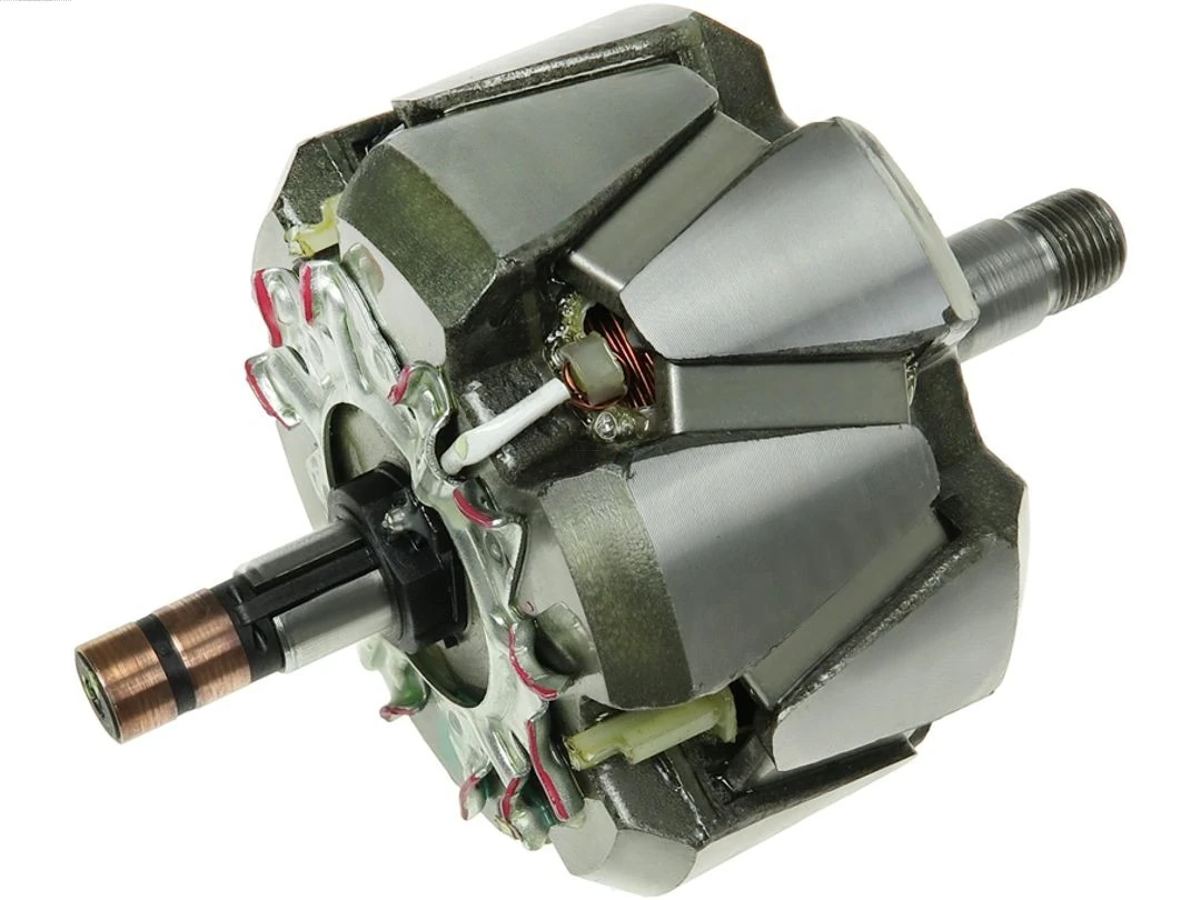 Rotor, alternator