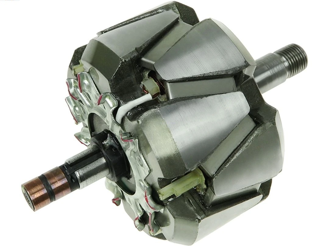 Rotor, alternator