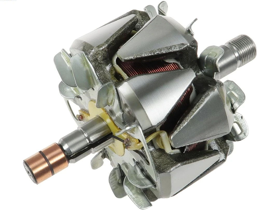 Rotor, alternator