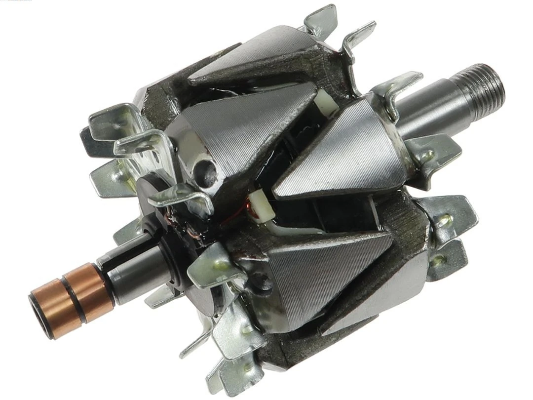Rotor, alternator