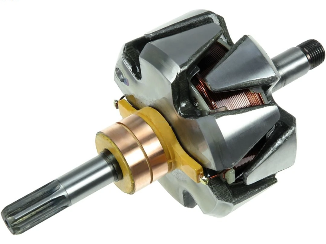 Rotor, alternator