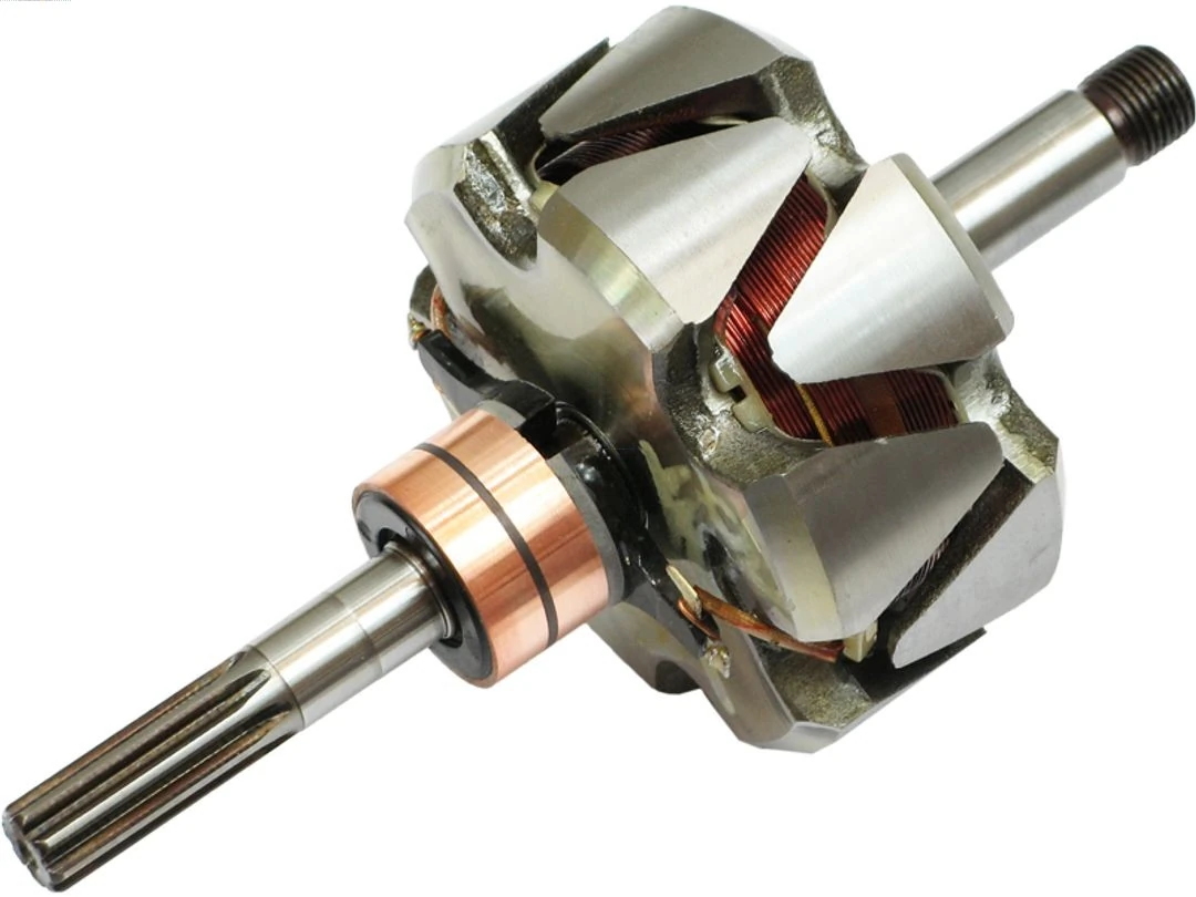 Rotor, alternator