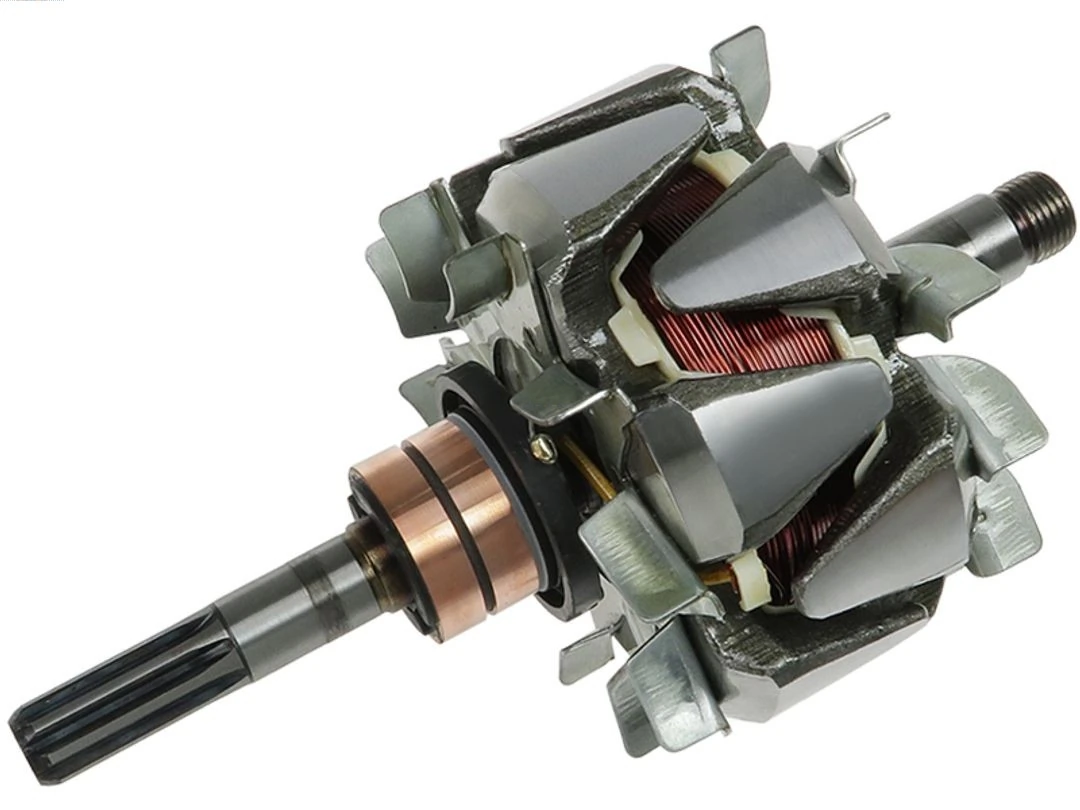 Rotor, alternator