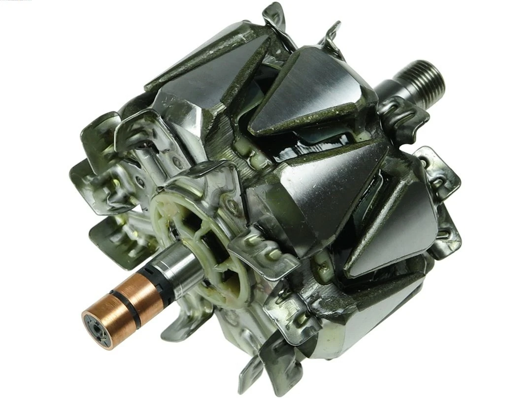 Rotor, alternator