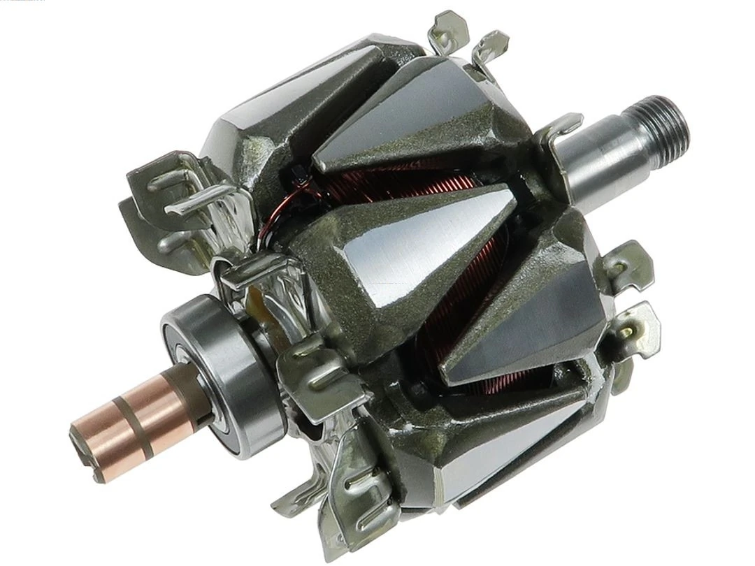 Rotor, alternator