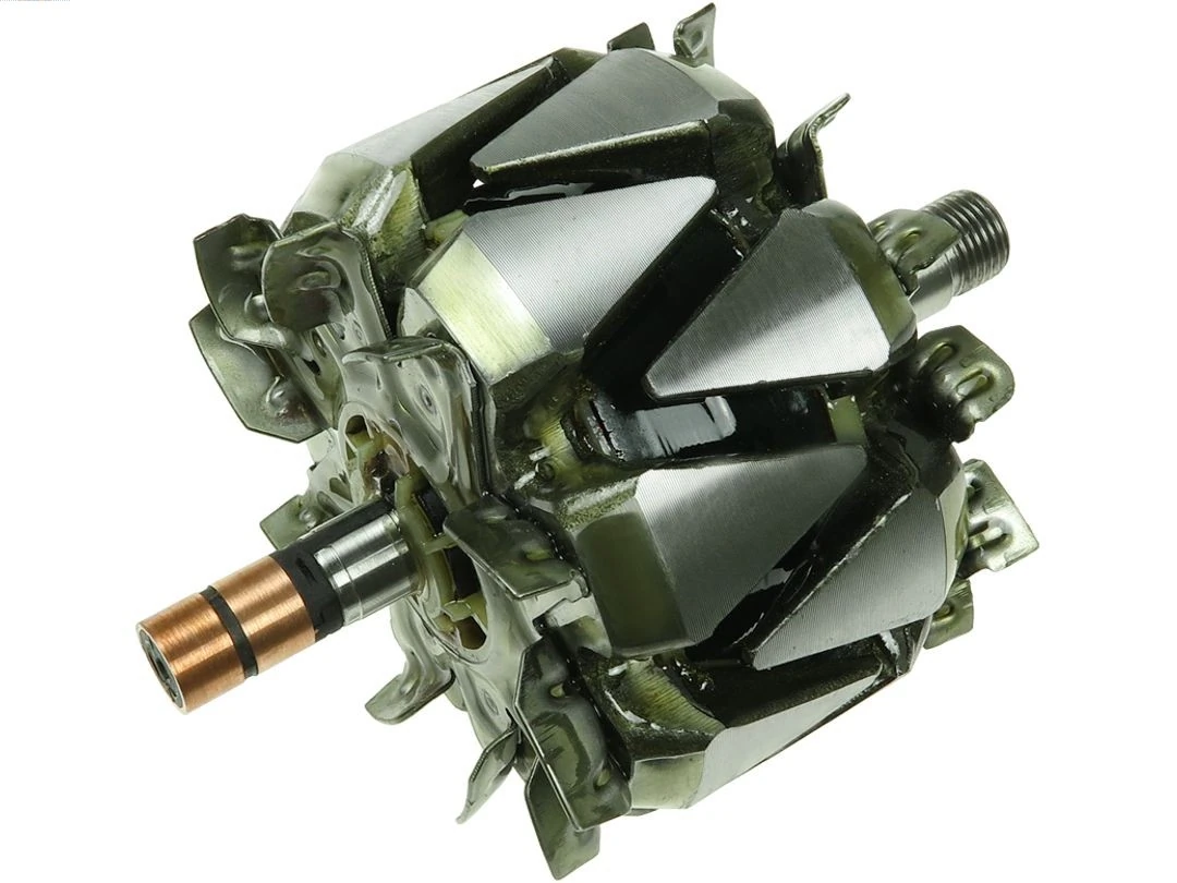 Rotor, alternator