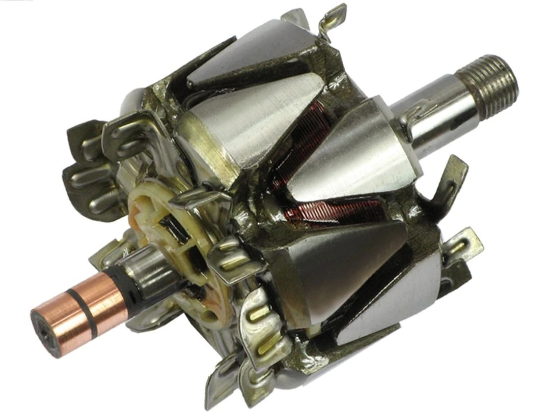 Rotor, alternator