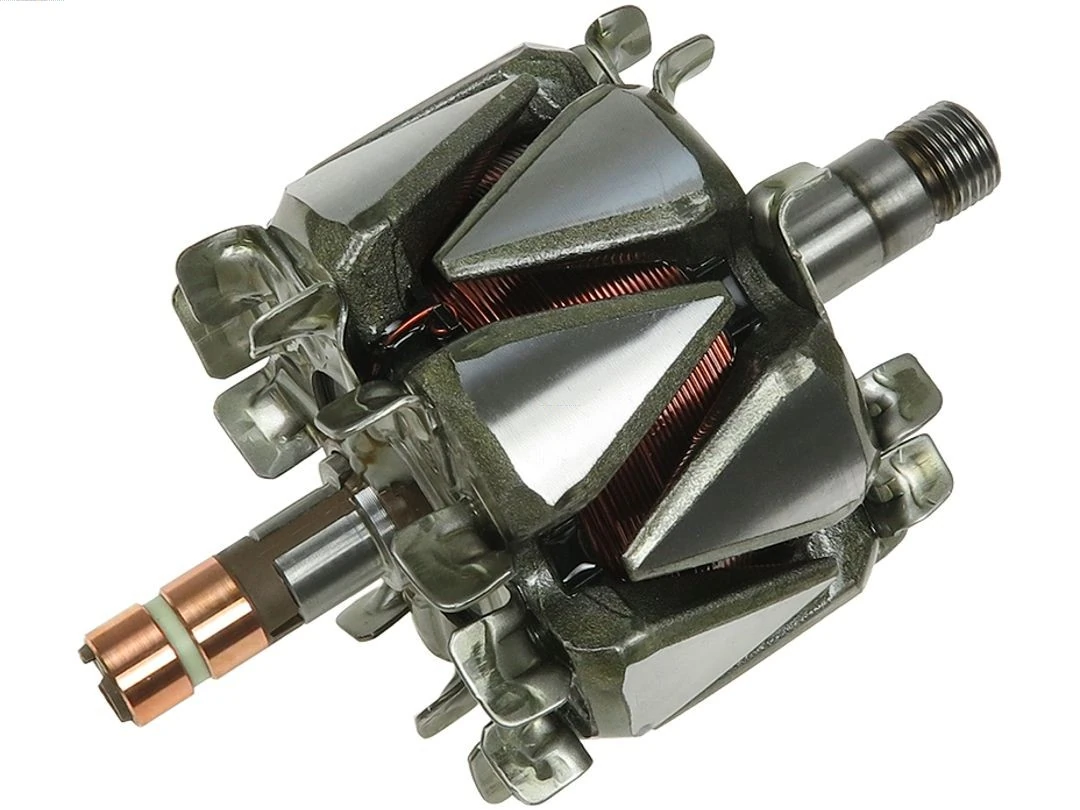 Rotor, alternator
