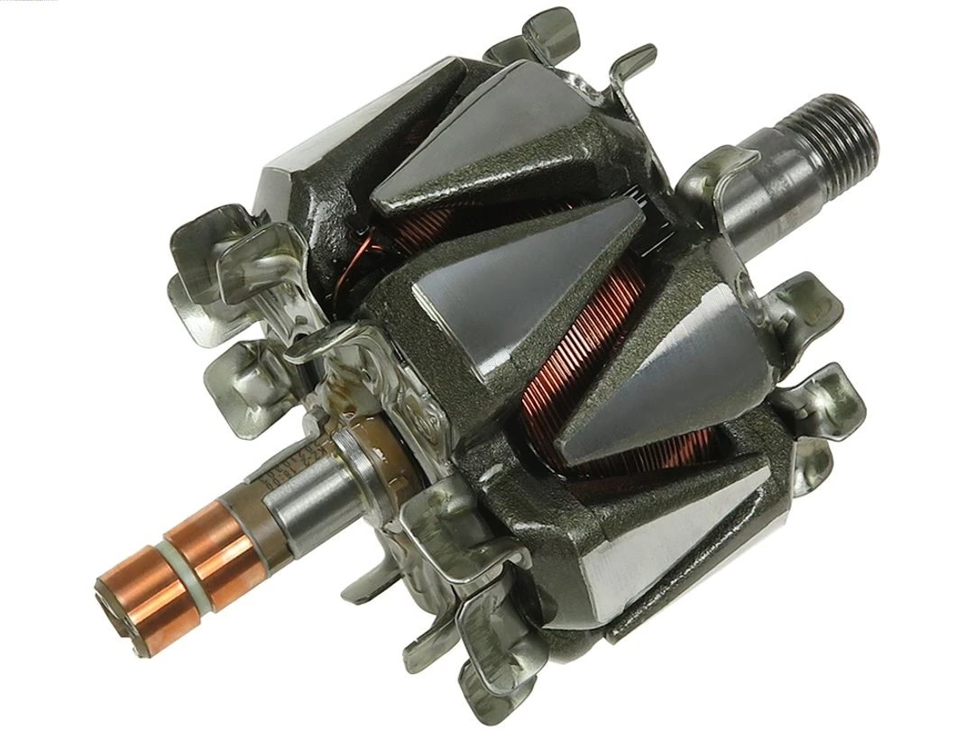 Rotor, alternator