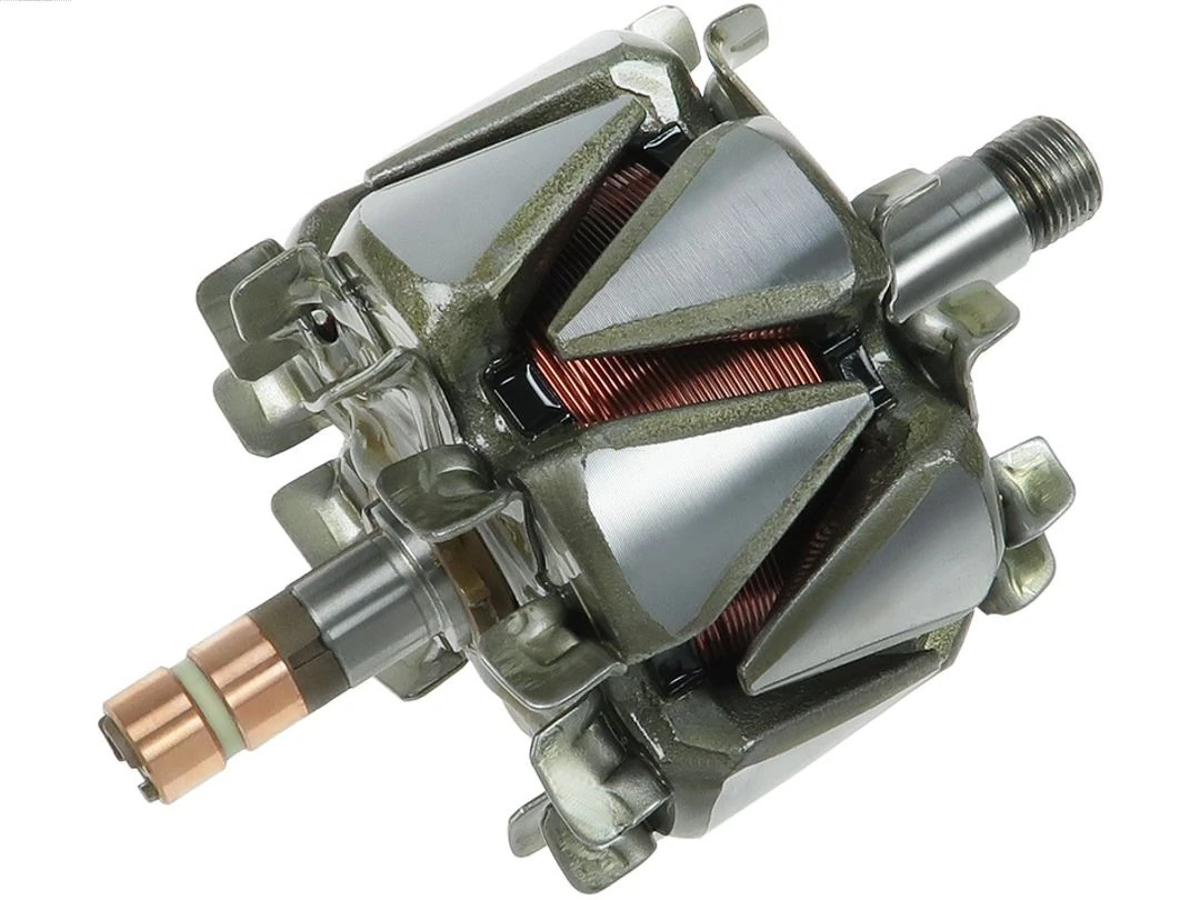 Rotor, alternator