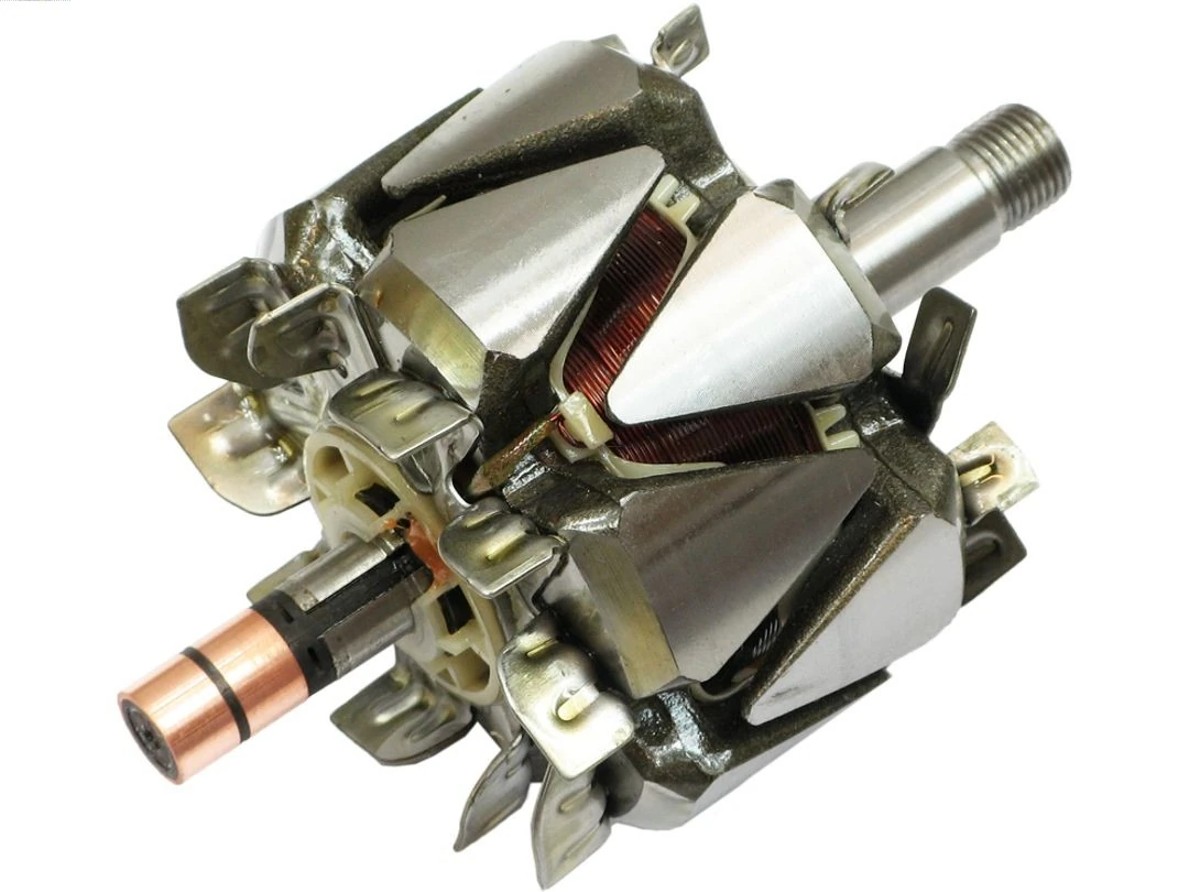 Rotor, alternator