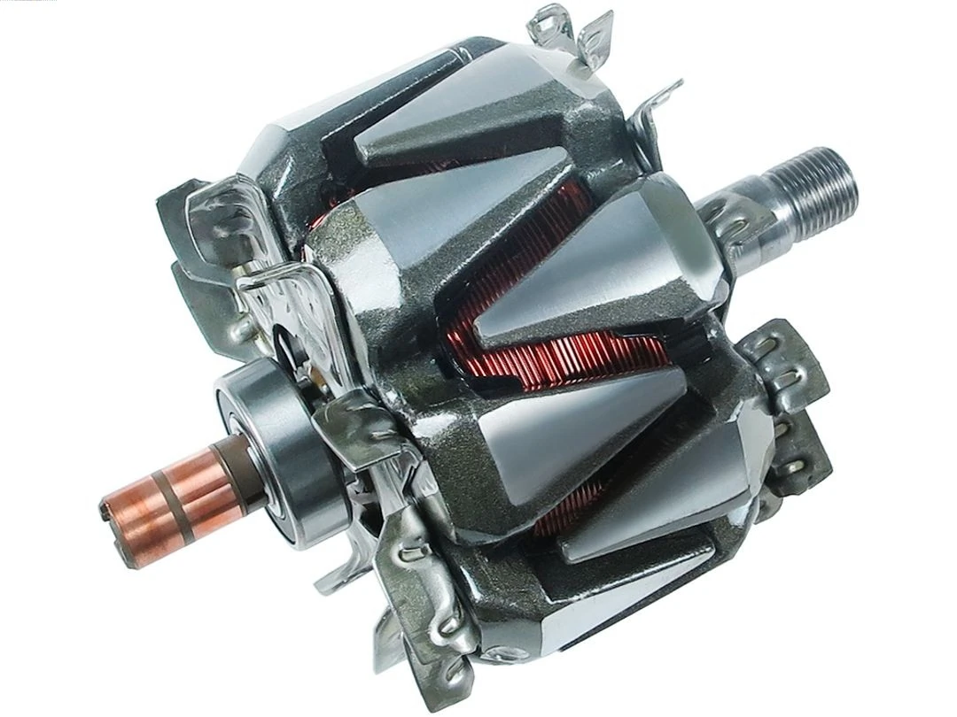 Rotor, alternator