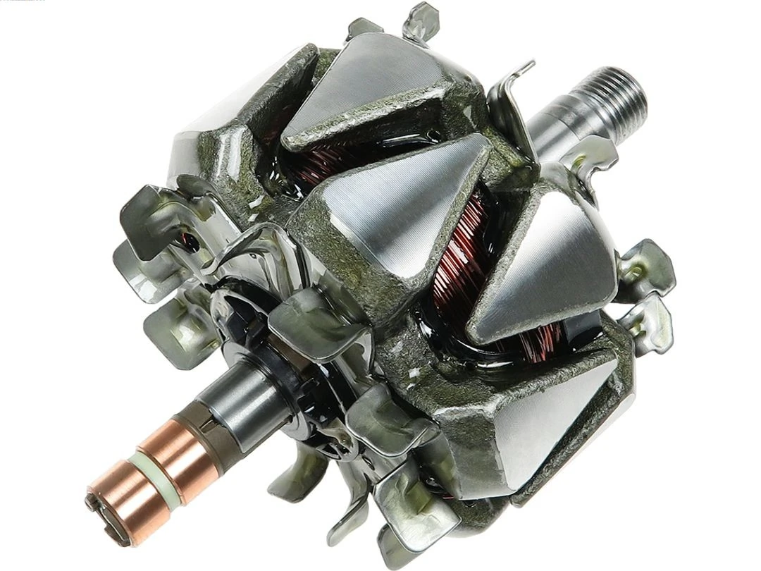 Rotor, alternator