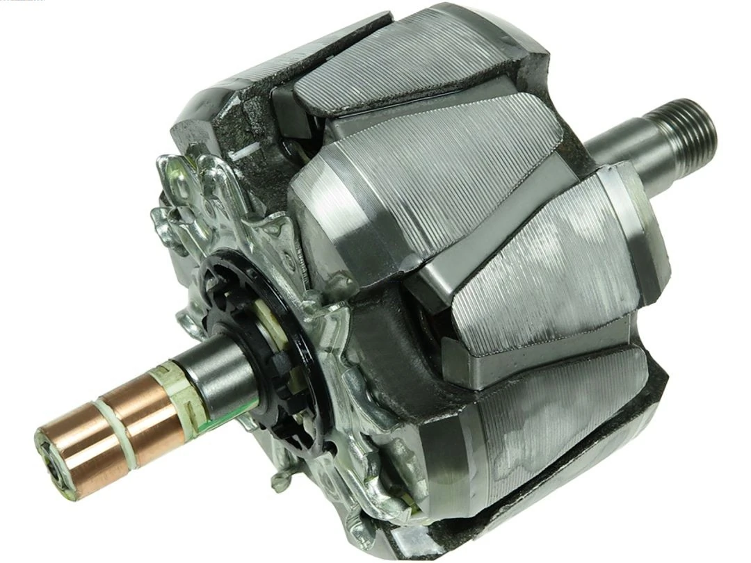 Rotor, alternator