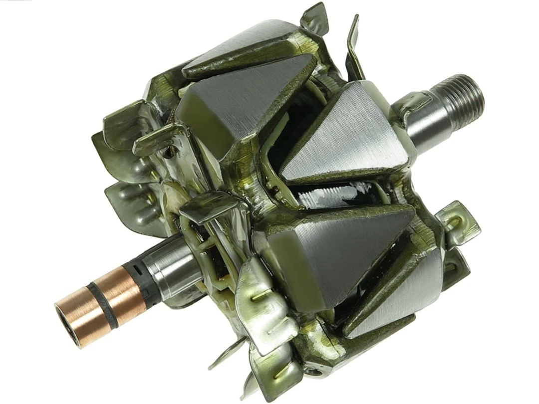 Rotor, alternator